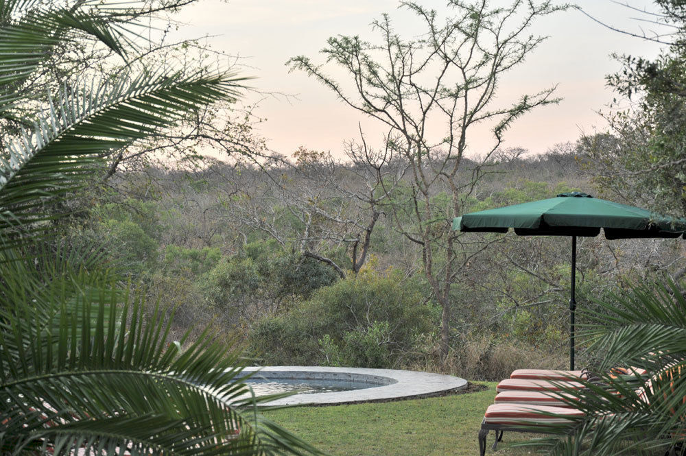 Waterbuck Game Lodge Thornybush Game Reserve Bagian luar foto